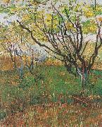 Vincent Van Gogh Flowering Orchard Germany oil painting artist